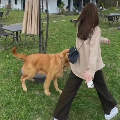 痛症